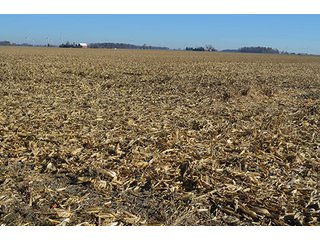 Tracts 4 & 5 - FARMLAND AUCTION - 165.5+/- ACRES OFFERED IN 5 TRACTS OR COMBINATIONS IN EAST ALLEN COUNTY